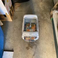 Trasportino rigido per animali