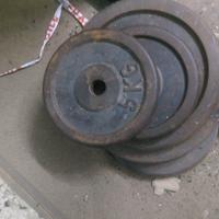 dischi in ghisa  un totale di 65kg