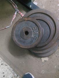 dischi in ghisa  un totale di 65kg