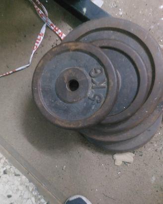 dischi in ghisa  un totale di 65kg