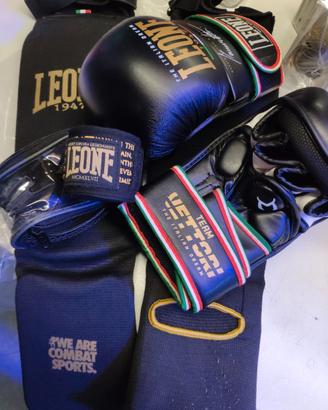 ALLENAMENTO MMA LEONE