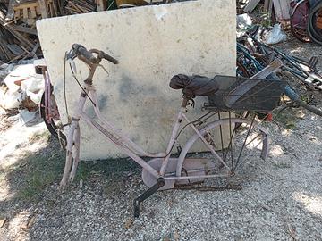 Telaio bici donna