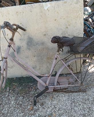 Telaio bici donna