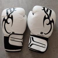 guanti da boxe
