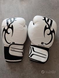 guanti da boxe