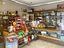 Immagine 14