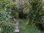 Immagine 30