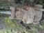 Immagine 2