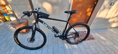 mtb specialized 29