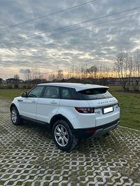 Range Rover Evoque 4x4 150cv Motore Ford