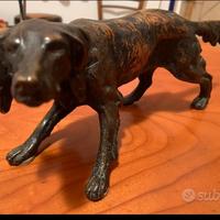 Cane Setter Bronzo 3,3 kg