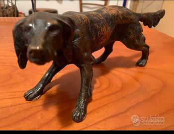 Cane Setter Bronzo 3,3 kg