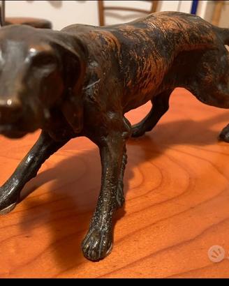 Cane Setter Bronzo 3,3 kg
