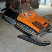 Motoslitta skidoo e carello