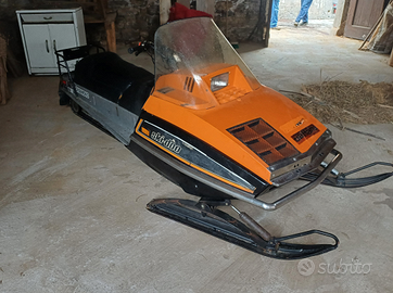 Motoslitta skidoo e carello