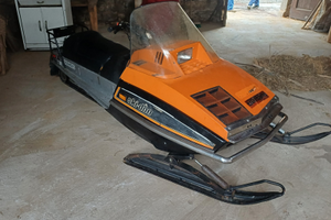 Motoslitta skidoo e carello