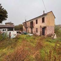 RGE 198/2025 Tribe Pavia