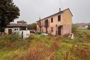 RGE 198/2025 Tribe Pavia