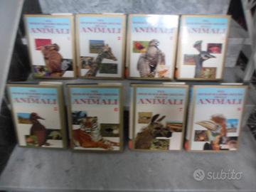 ENCICLOPEDIA ANIMALI CURCIO EDITORE