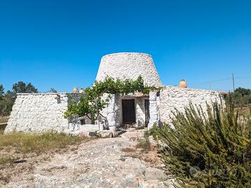 Pittoresca pajara in ampio terreno