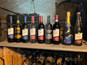 Bottiglie di vino