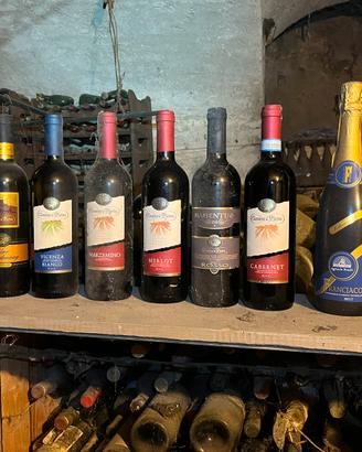 Bottiglie di vino