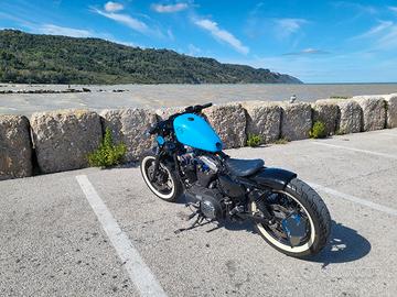 harley Davidson sportster forty eight 48