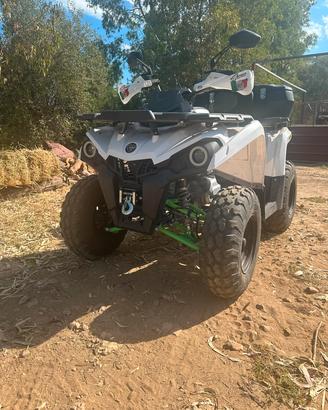  LEM Hummer 250cc Automatico – Pari al nuovo