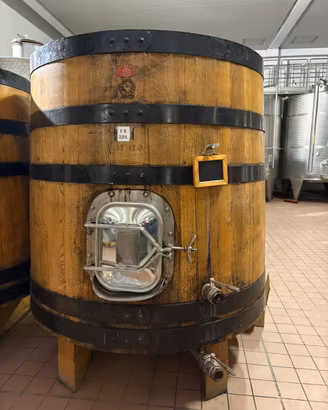 botte/tina di rovere usato HL 25