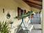 Immagine 24