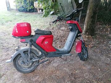 Scooter elettrico 