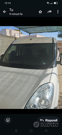 Doblo nuovo