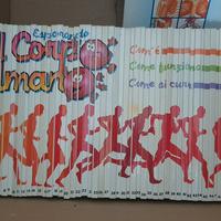 esplorando il corpo umano