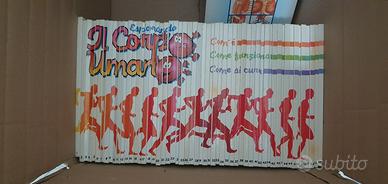 esplorando il corpo umano