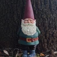 Gnomo Rien poortvliet