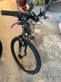 bicicletta