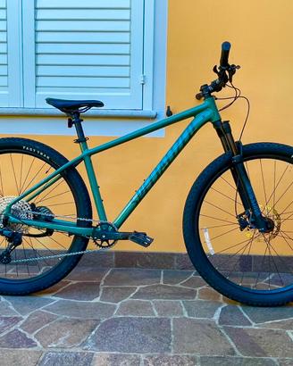 MTB Specialized Rockhopper Elite 29  Taglia L