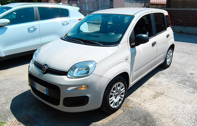 Fiat Panda 1.2 Pandazzurri 69cv beige