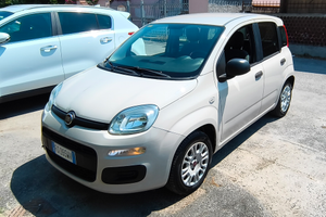 Fiat Panda 1.2 Pandazzurri 69cv beige