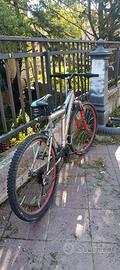 Mountain bike 26'