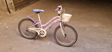 Bicicletta 20