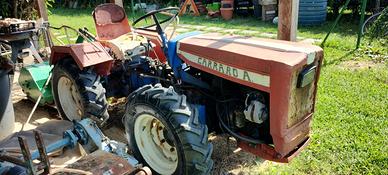 Trattore Carraro 600