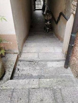 Appartamento – Cremona, Giordano - Vista 3