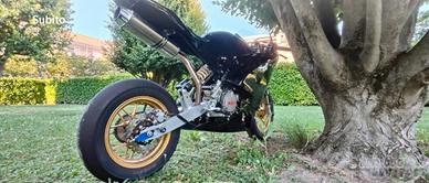 Ayrton Suprema 12" - Componentistica Racing 