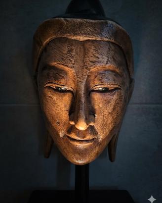 Buddha da collezione _ intagliato in legno