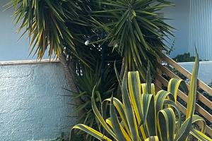 Mansarda luminosa e ben arredata