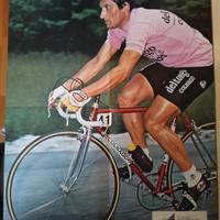 8 poster campioni di ciclismo anni 80