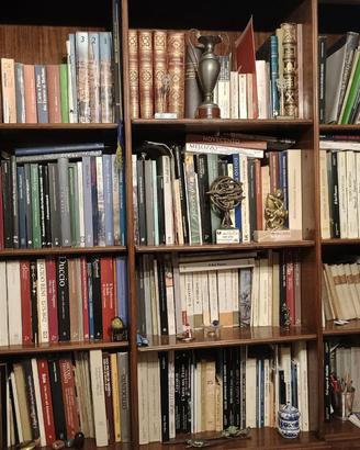Librerie grandi in legno n. 2