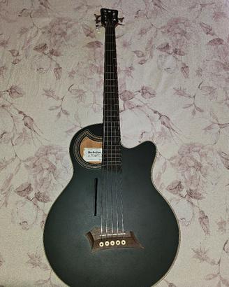 basso acustico Warwick 