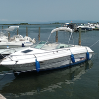 Sea ray 215